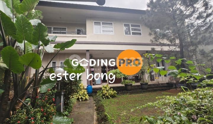 Hunian tenang dengan pemandangan taman kota yg sejuk di mata