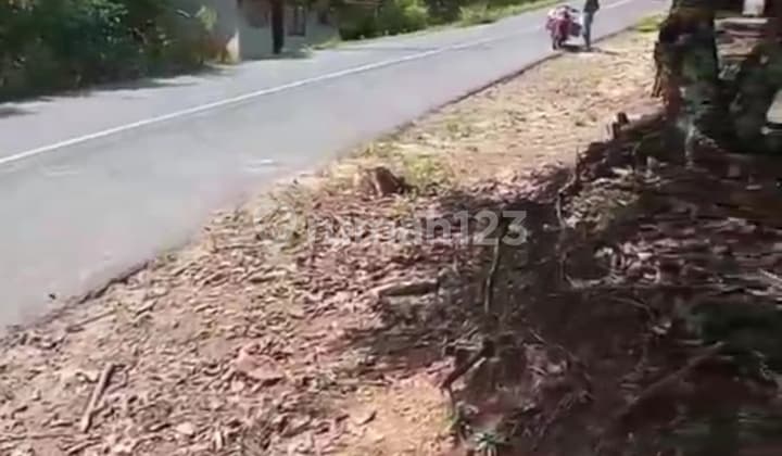 Dijual Tanah Murah Bangettt Depan Jalan Raya Luas 3.685 M2 Cocok untuk Dibangun Gudang/ Pabrik/ Cluster Perumahan Dll, Nego Yuk!! Survei Yuk!