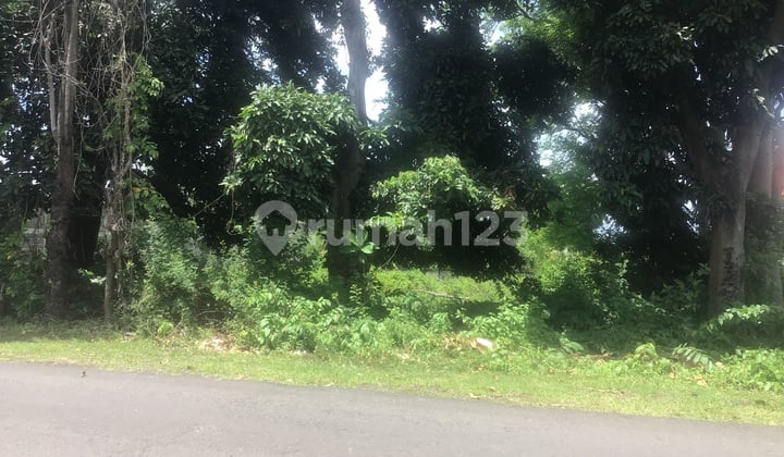 Tanah Luasan Besar Kawasan Elit Kota Singaraja Di Bali Utara