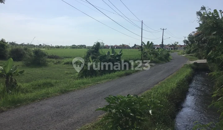 Tanah Murah Dekat Panti Di Kawasan Villa Di Bali Utara