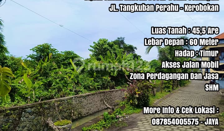 Dijual Tanah Luasan Besar Dekat Seminyak di Bali