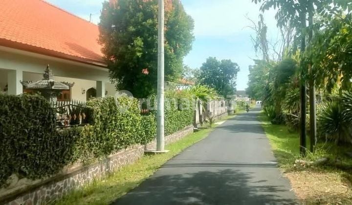 Dijual Tanah Dekat Pantai Dikawasan Hotel & Villa di Lovina