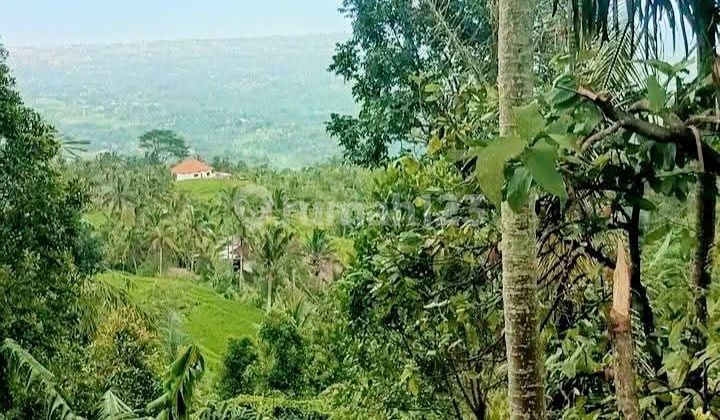 Land in the Northern Bali Tourism Area with Sea & Rice Field Views