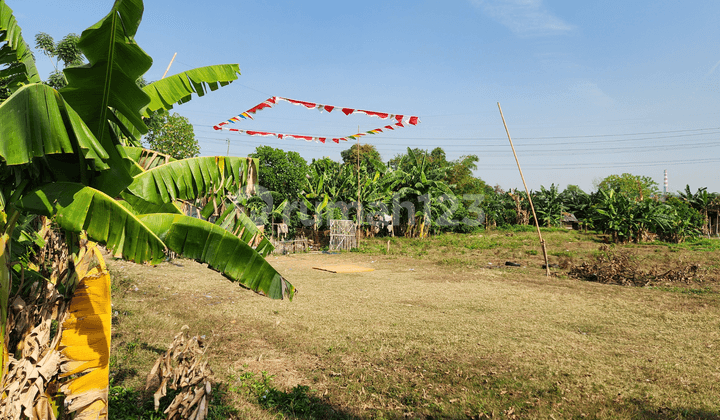 Tanah Di Cibitung Bekasi Cocok Buat Perumahan Sederhana