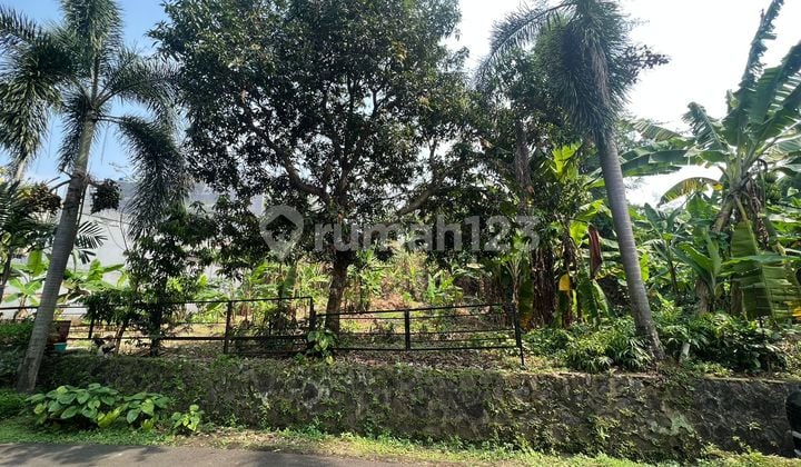 Disewakan Lahan Luas Cocok Untuk Bisnis Di Puri Mutiara Cilandak