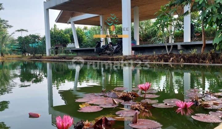 Tanah SHM 4000 m² DIJUAL CEPAT View Indah Dan Akses Ke Sungai Beraiah