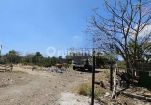 Lahan Di Pelindo Port Kota Makassar Pelabuhan Industrial. Bagus