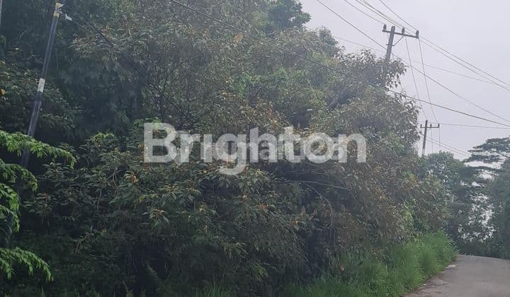 LAHAN KAVLING DEKAT DOME