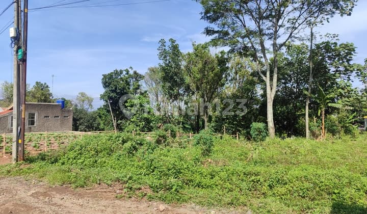 Smart Investment SHM Land 330M Jatinangor High Income Potential