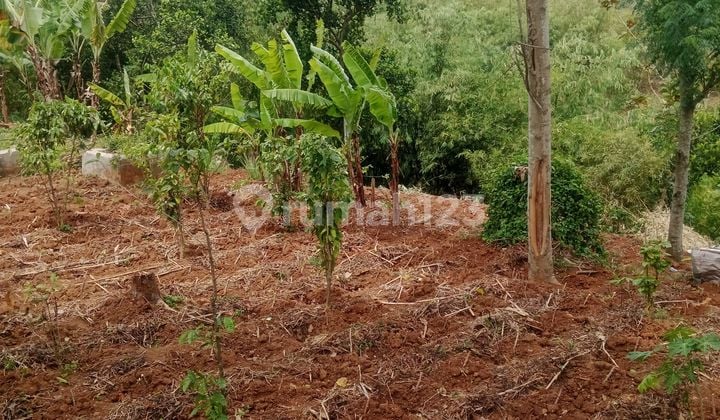 Kavling Villa Dijual 100m² Di Palasari Cibiru Bandung Dekat Uin