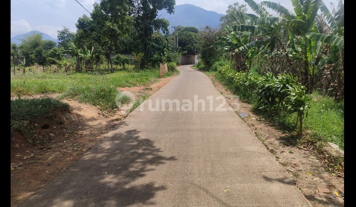 Tanah Luas 463M² SHM Kota Bandung Cocok untuk Vila dan Rumah