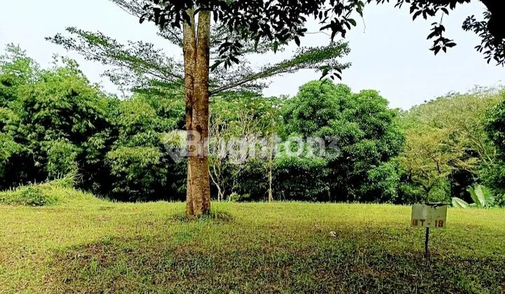 AFFORDABLE AND SPACIOUS LAND IN BUKIT CINERE INDAH COMPOUND AFFORDABLE AND SPACIOUS LAND IN BUKIT CINERE INDAH COMPOUND