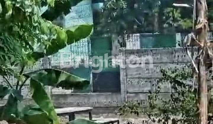 Tanah Murah Dijalan Raya Cocok untuk Ruko/Minimarket di Parung Bogor