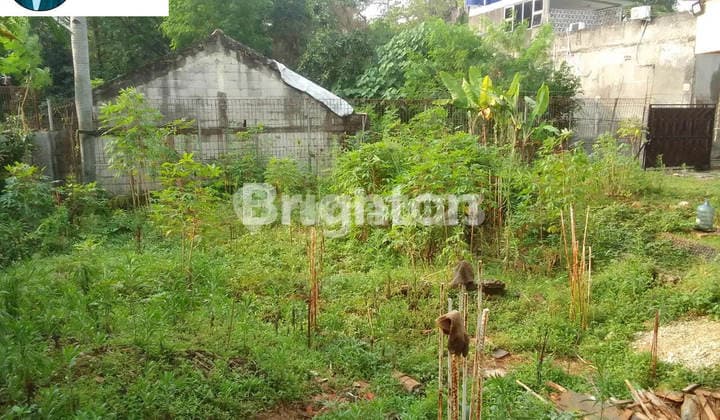 483. Dijual Tanah Dekat MRT Lebak Bulus dan Kampus Umj di Jalan Gunung Raya Cireundeu Tangerang Selatan