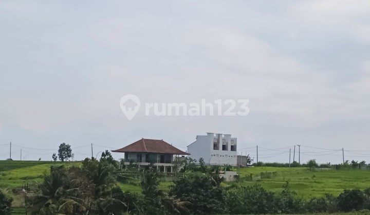Tanah SHM 2.160 m² di Zona Pariwisata Tegalmengkeb Tabanan Bali Disewakan Minimum 600 m2 Dekat Pantai Kelencung