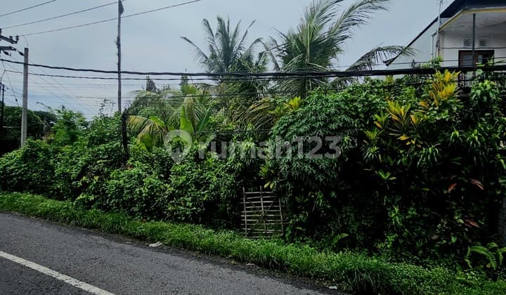 Hook Land Tabanan Bali, Serene and Green Environment, Rent Starting from 500 M2 (5 Are) Only, Strategic Two-Wide Road Access