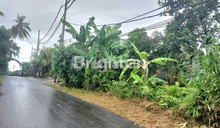 Tanah 1100 M2 Idaman 3 Menit Ke Pantai Pering Gianyar Bali & 2 Menit Ke Jalan Utama Jl. Ida Bagus Mantra Strategis Kawasan Villa