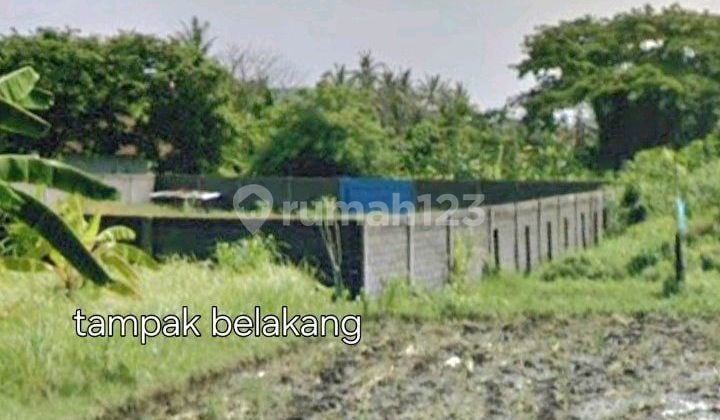 Tanah 2000 M2 Pemandangan Sawah 1 Menit Ke Jl. Ida Bagus Mantra 3 Menit Ke Pantai Masceti Gianyar Bali Harga Terjangkau