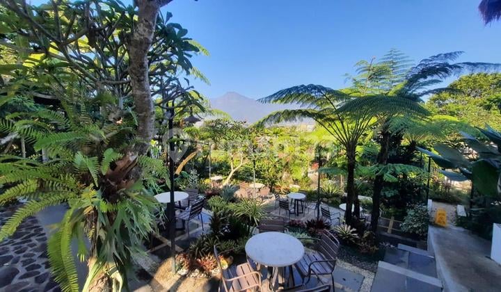 Dijual Cafe Batu - Malang - Plus Villa Kondisi Ramai - View Kota Batu