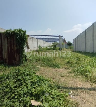 Tanah Murah Luas Strategis Di Cepiring Kendal A4710