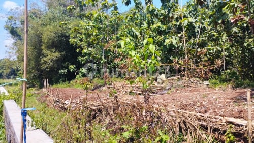 Tanah Luas Murah Siap Bangun Di Klego Boyolali A4514