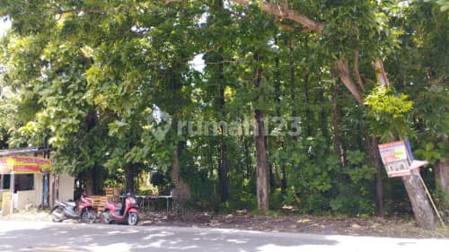 Tanah Siap Bangun Strategis di Patebon Kendal A5187