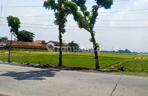 Tanah Siap Bangun Strategis di Blaru Pati A5455