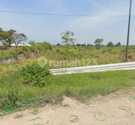 Tanah Strategis Siap Bangun Di Kaliwungu Kendal A5008