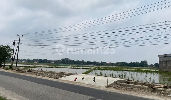 Dijual Tanah Luas dan Strategis Pinggir Jalan di Karawang