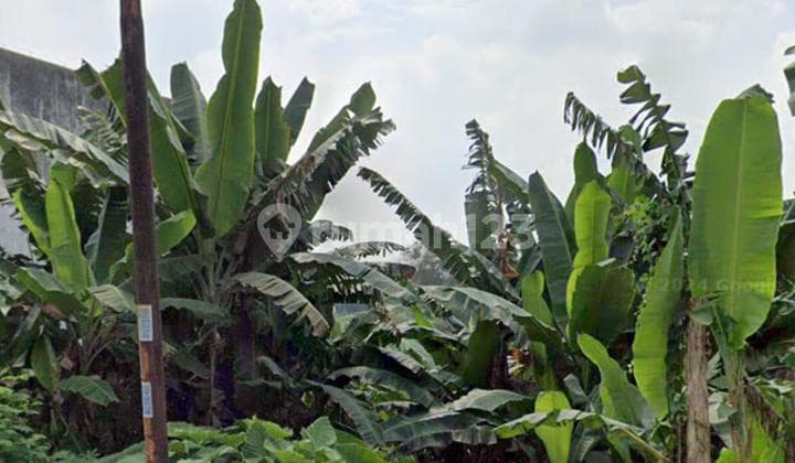 2.9 Hectares of Land in BSD Tangerang for Warehouse and Residential Use
