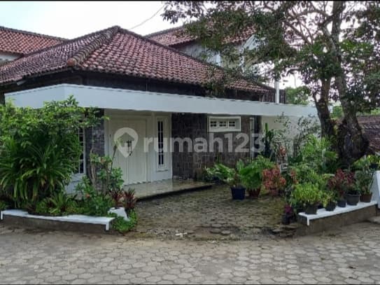 Rumah Homestay lokasi 7Km dari Candi Borobudur