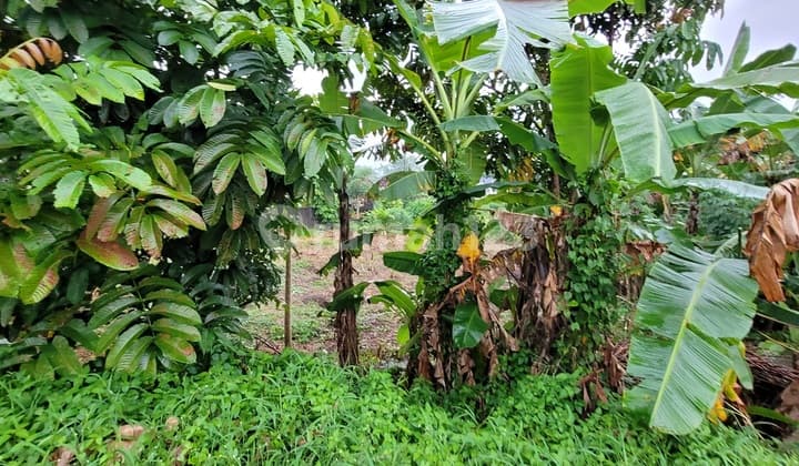 Tanah Sawah Strategis di Tepi Jalan Selokan Mataram