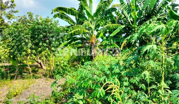 Tanah Di Jalan Protokol Pinggir Jalan,Karang Asem Sindang Laut
