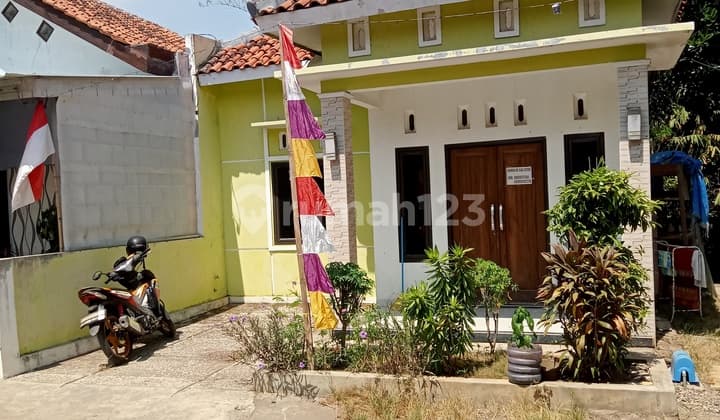 Rumah Sewa Murah Dekat Kampus Di Perjuangan
