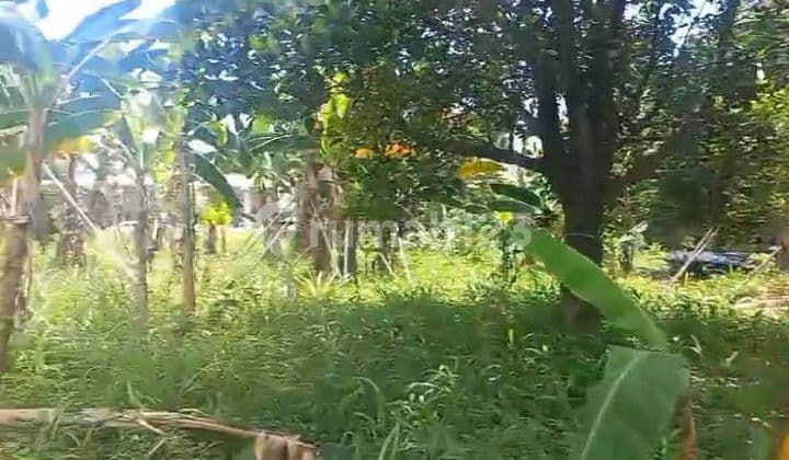 Kavling Siap Bangun di Jl Re Martadinata Ciputat Tangerang Selatan