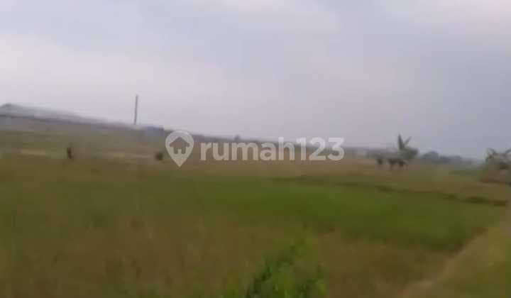 Subang-near Vinfast- Area 4 Hectares- Area Can Be Purchased According to Needs