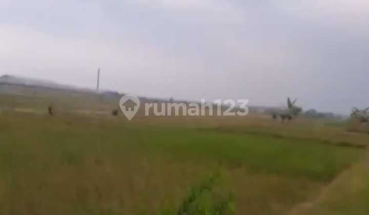Subang-near Vinfast- Area 4 Hectares- Area Can Be Purchased According to Needs