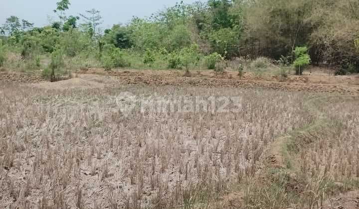 Subang- Exit Tol Kedawung - Zona Industri