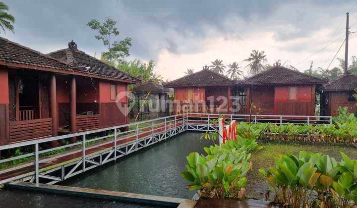 Villa Cantik Dijual Cepat di Pakem
