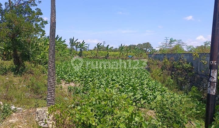 STRATEGIC LAND IN PUJUT VILLAGE, TANAK AWU LOMBOK NEAR THE AIRPORT