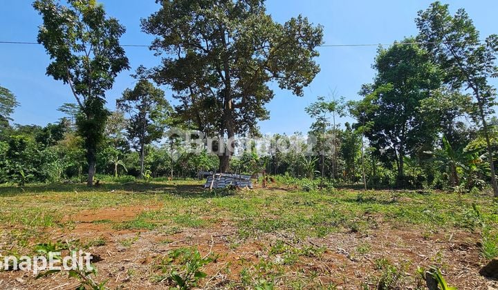 TANAH STRATEGIS, DATAR, TEPI JALAN SIAP BANGUN DI GUNUNG PATI