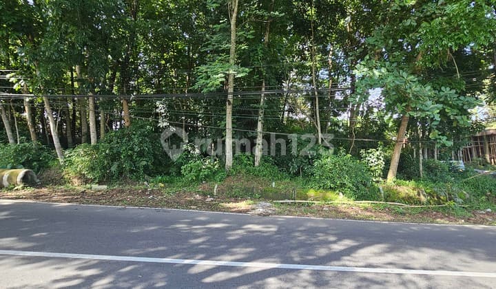 TANAH SIAP BANGUN ZONA KUNING DI JALUR UTAMA GUNUNG PATI
