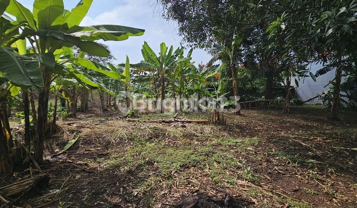 Tanah Siap Bangun untuk Investasi di Lokasi Kos2 An Dekat Undip Tembalang