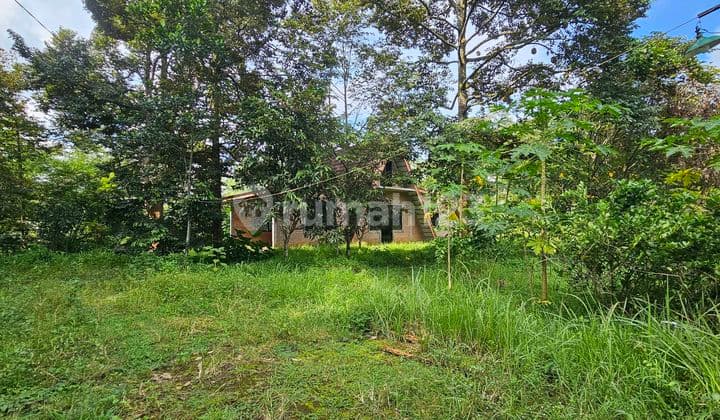 Tanah SHM 8347M², Asri dengan Pohon Durian, Gunung Pati