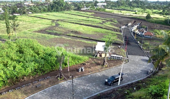 Tanah Kavling Ekslusive Harga Ekonomis View Sawah, Gubug Tabanan