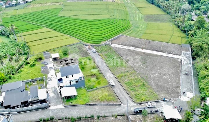 Tanah Kavling Ekslusive View Sawah di Pantai Yeh Gangga