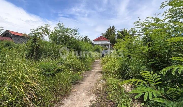 Tanah Harga Ekonomis View Sawah di Keramas, Gianyar