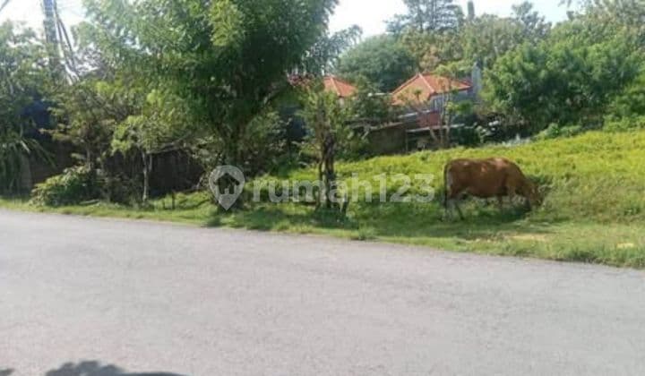 Tanah Gunung Payung Pandawa Kutuh Badung Bali