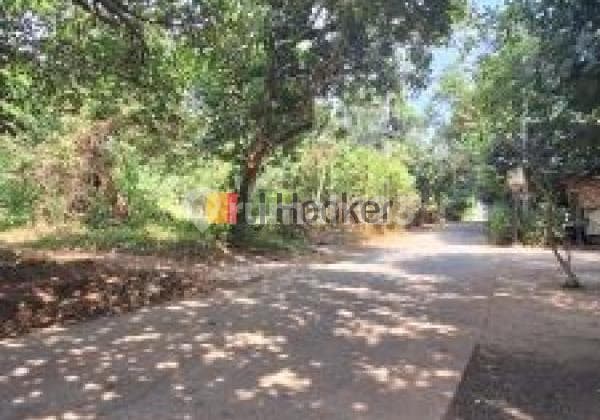 Sebidang Tanah Akses Jalan 4 Meter Dekat Perumahan Panorama Taman Sari, Setu
