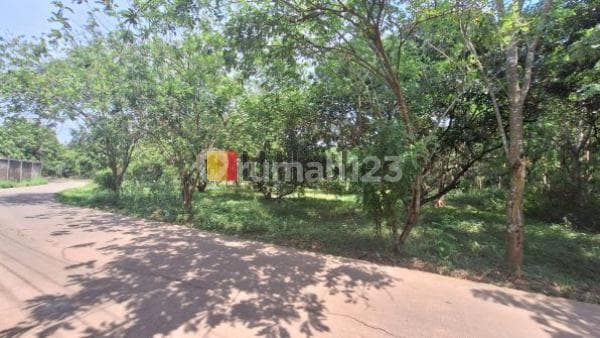 Dijual Tanah Untuk Kavling,digunakan Untuk Cluster Perumahan, 2 Km Menuju Pintu Tol Burangkeng. Taman Sari. Setu, Bekasi